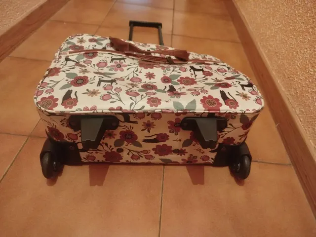 Maleta de viaje cabina