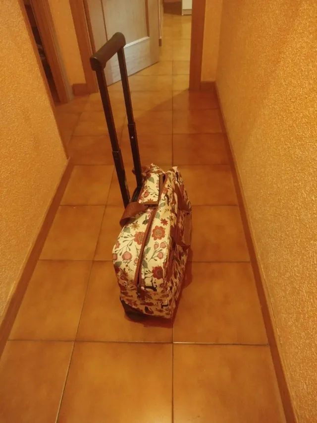 Maleta de viaje cabina