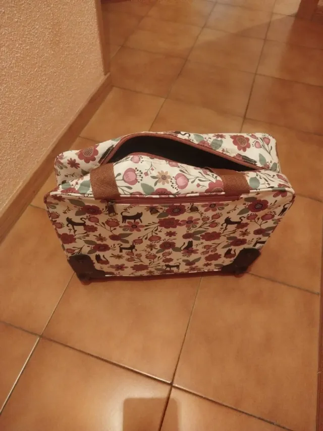 Maleta de viaje cabina