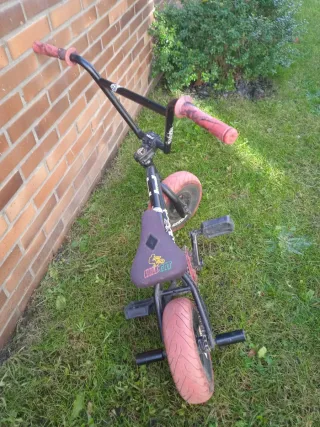 Mini BMX Wildcat