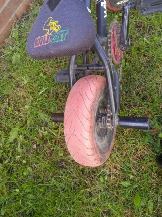 Mini BMX Wildcat