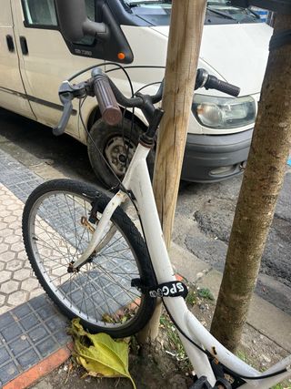 Bicicleta blanca