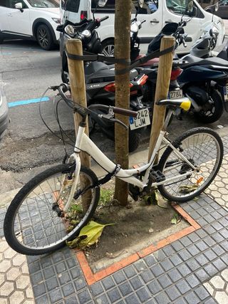 Bicicleta blanca