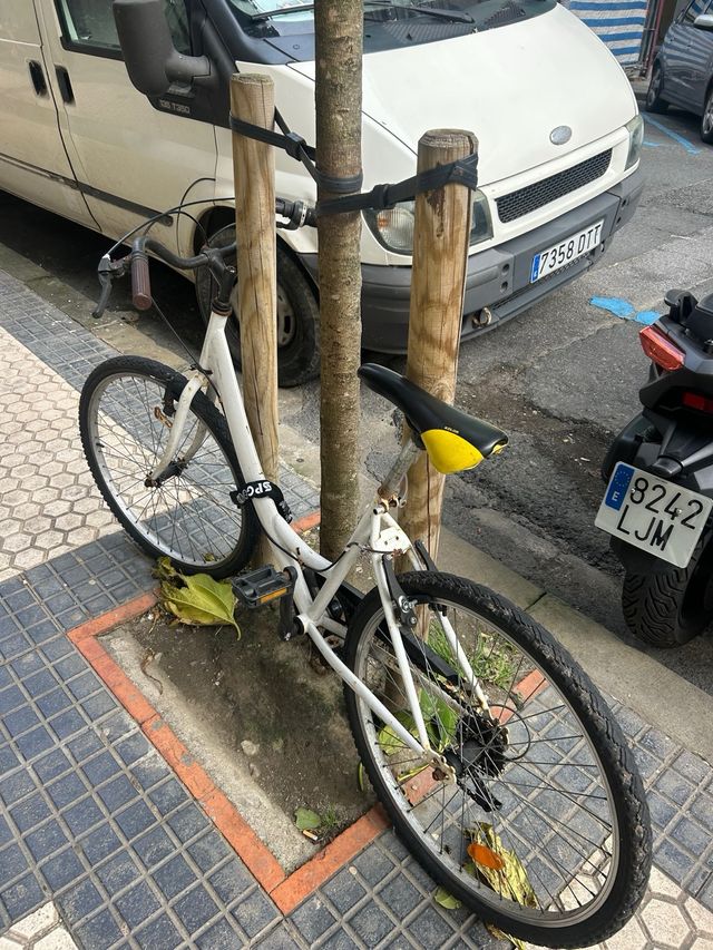Bicicleta blanca