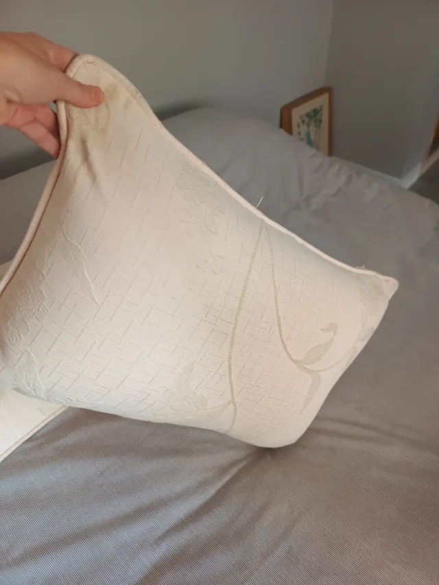 2 Cojines Rectangulares Beige ( incluye relleno)