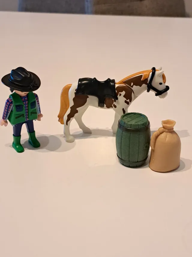Lote Playmobil: Figura, Caballo y Accesorios