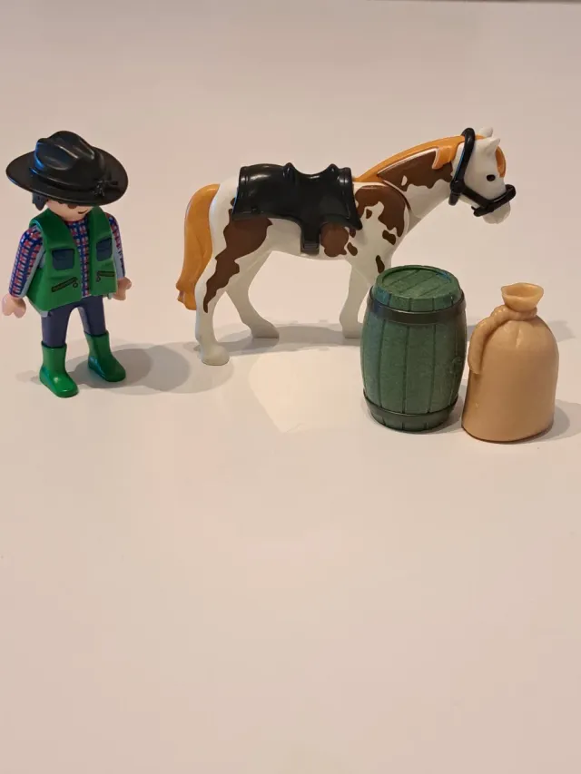 Lote Playmobil: Figura, Caballo y Accesorios