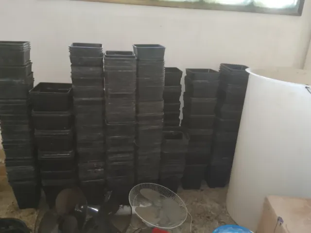 Luz LED Cultivo Dreamcatcher 720w Solux