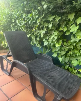 Tumbona de jardín negra de plástico