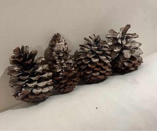 4 Pinhas Decorativas Natal