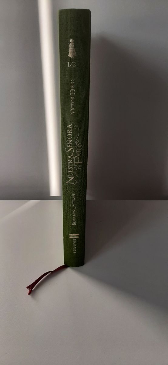 Nuestra Señora de París (Álbumes (Jóvenes y niñ...