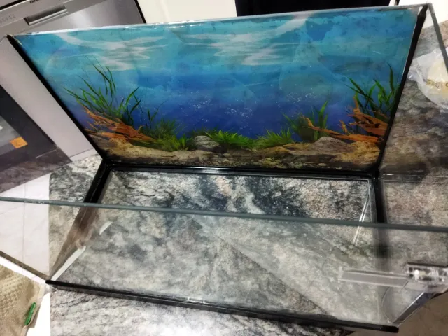 Acuario con fondo decorado de 38l.