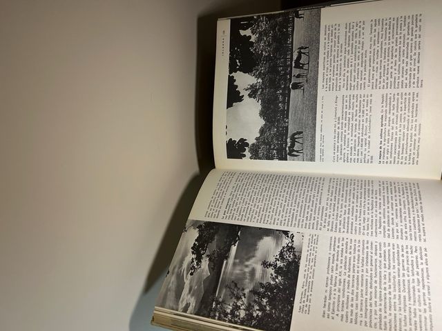 Libros antiguos España