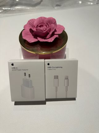 Caricabatterie Apple USB-C 20W + Cavo Lightning