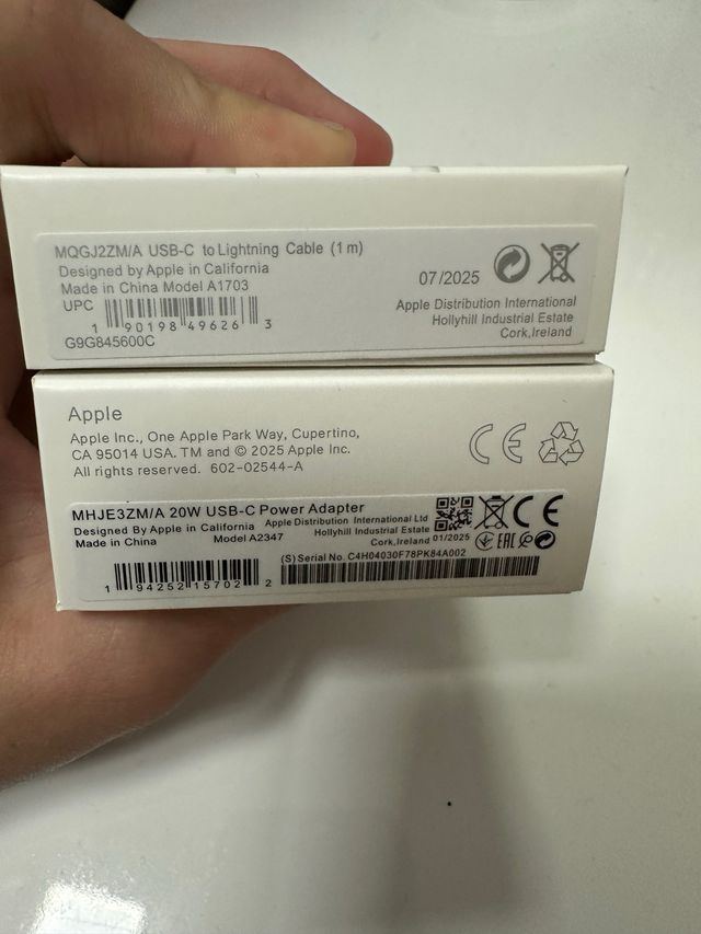 Caricabatterie Apple USB-C 20W + Cavo Lightning