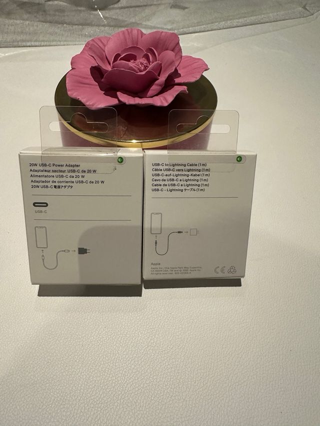 Caricabatterie Apple USB-C 20W + Cavo Lightning