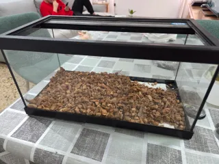 Terrario Gecko Leopardo 30x15x15