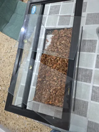 Terrario Gecko Leopardo 30x15x15