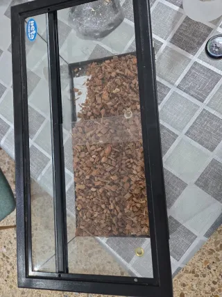 Terrario Gecko Leopardo 30x15x15