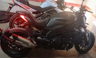 Benelli 502C Negra