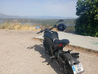 Benelli 502C Negra