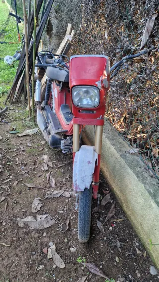 Ciclomotor Derby Variant sin papeles