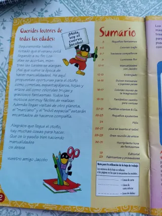 2 libros manualidades+ 2 revistas