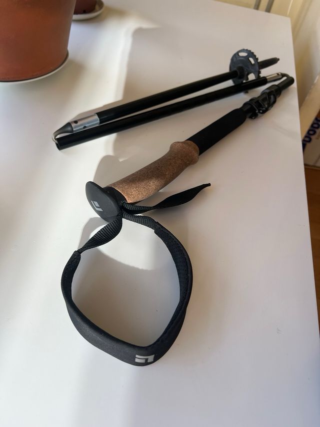 Bastón trekking Black Diamond Alpine FLZ