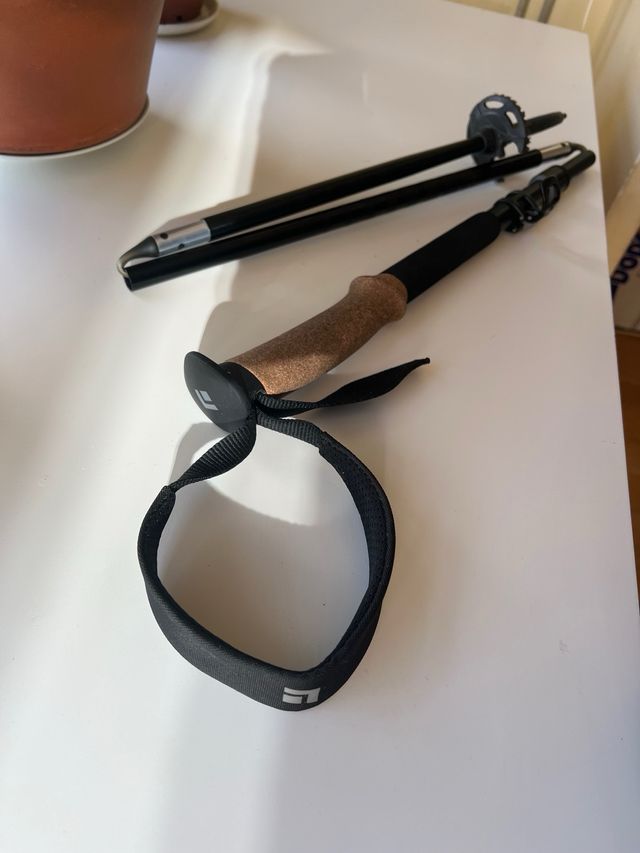 Bastón trekking Black Diamond Alpine FLZ