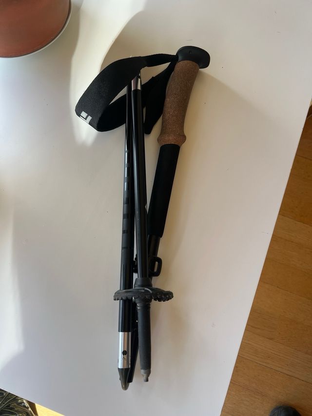 Bastón trekking Black Diamond Alpine FLZ