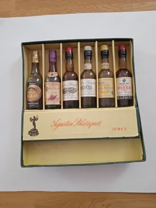Collezione di piccole bottiglie di Jerez Agustín Blázquez