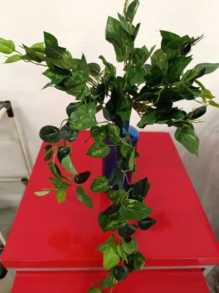 Potho artificial hoja pequeña