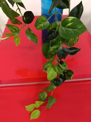 Potho artificial hoja pequeña