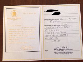 Tappeto Lilian in lana