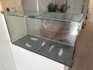 Acuario grande de cristal.