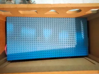 Juego educativo psicomotriz bebés niños