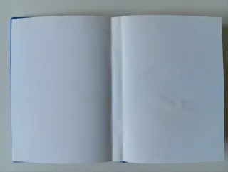 Resident Evil Outbreak PlayStation 2 PS2