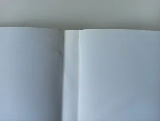 Resident Evil Outbreak PlayStation 2 PS2