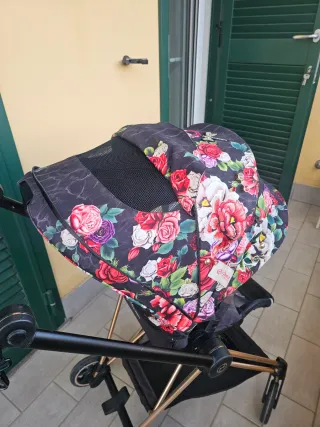 Passeggino Cybex Mios Telaio Rose Gold