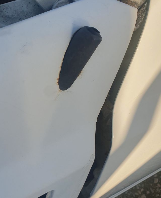 Goma Antena aleta Golf MK3 GTI vr6 tdi BUEN ESTADO