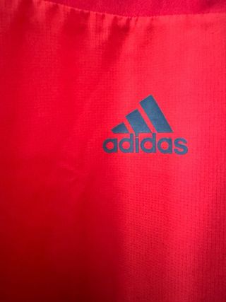 Maglia allenamento Adidas FC Bayern Monaco