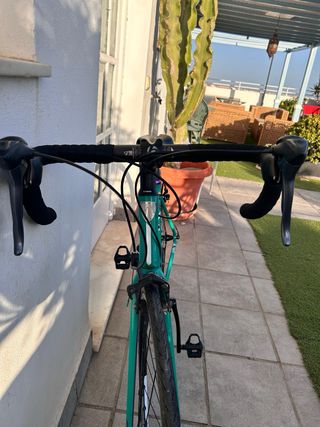 Bici Trek Carretera Verde