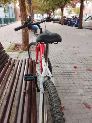 Bicicleta roja y blanca