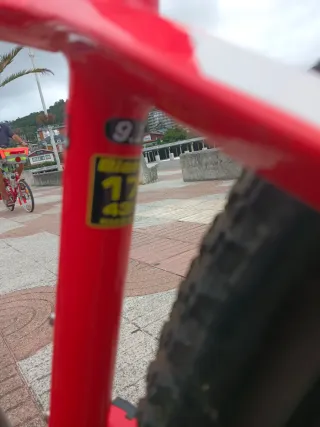 Bicicleta de Montaña Bianchi Carbono