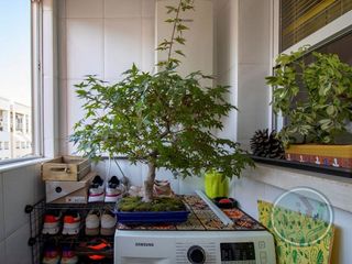 Piso en venta en Ciutat Jardí - Torreta Verdí en Elche