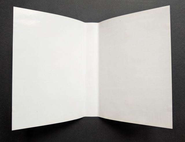 Shining Force II original para SEGA Mega Drive