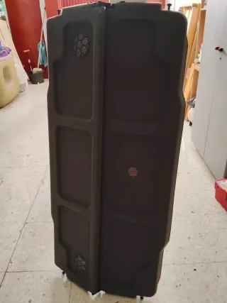 Tapa maletero Ford, con altavoces, cloror gris