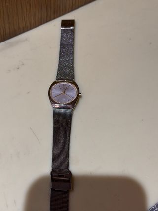 Reloj Skagen Mujer Dorado y Plateado