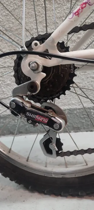 Bicicleta niña DTB blanca y rosa