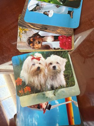 colección almanaques antiguos 250 unidades